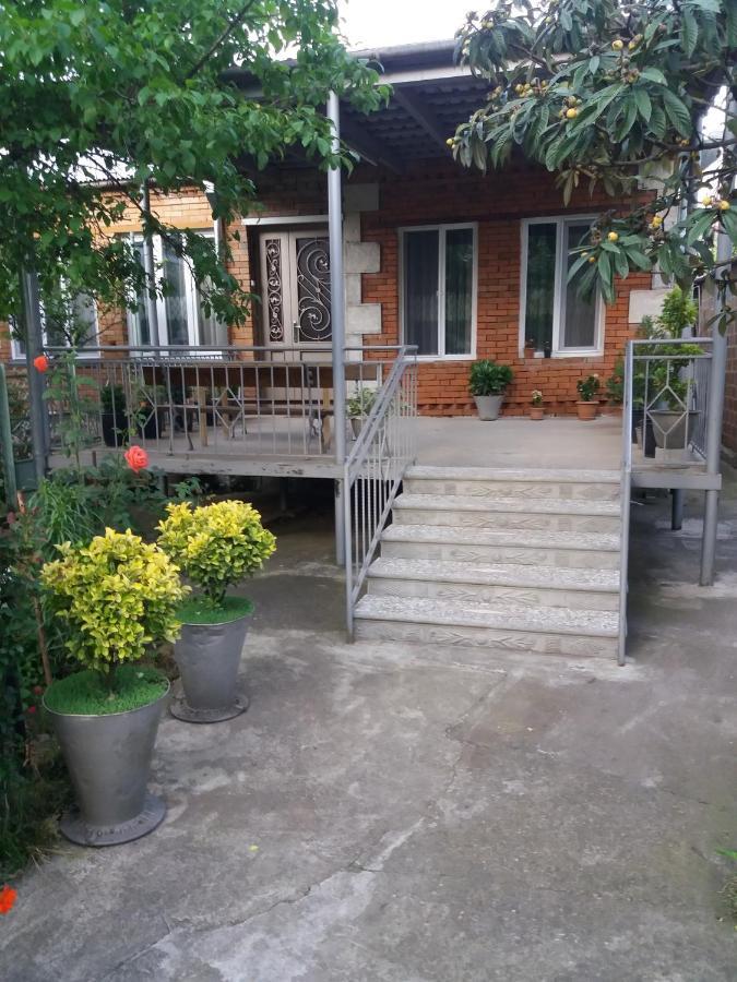 Guest House Darejani كوتايسي المظهر الخارجي الصورة