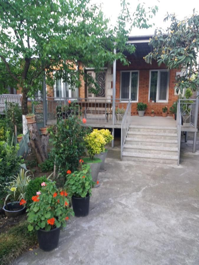 Guest House Darejani كوتايسي المظهر الخارجي الصورة