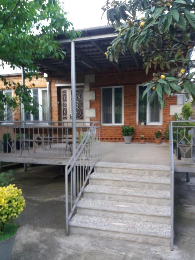 Guest House Darejani كوتايسي المظهر الخارجي الصورة